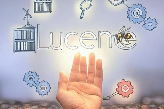 Xây dựng hệ thống tìm kiếm với Lucene: benchmark, phân tích và ứng dụng