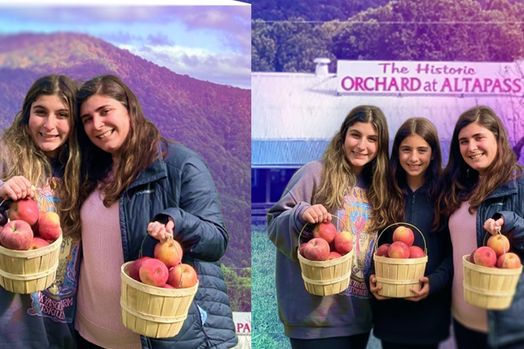 Tôi đã thử 'Nano Bananas' của Gemini để chỉnh sửa ảnh. Những sai sót của AI lộ rõ