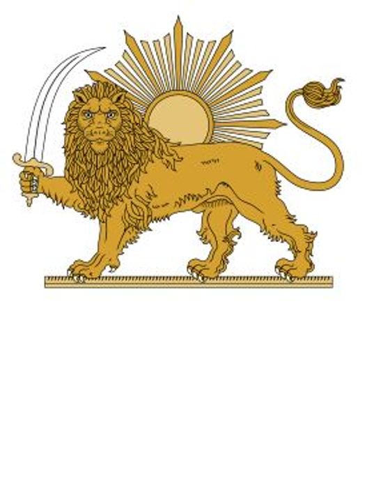 Input Image