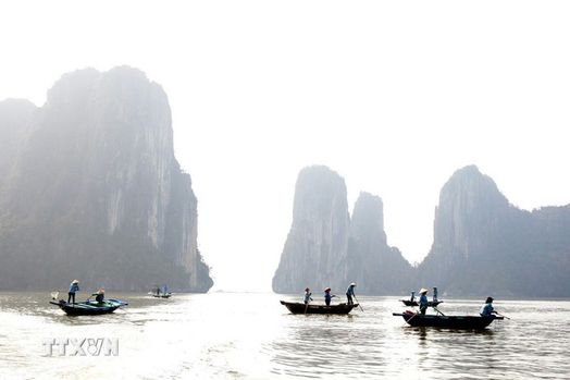 ttxvn-lam-sach-vinh-ha-long-7597151.jpg