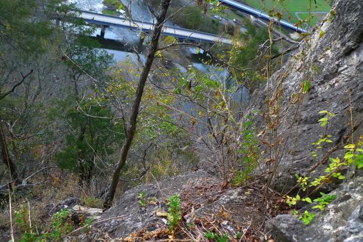 50.000 giấy phép Copilot cho các công ty dịch vụ Ấn Độ