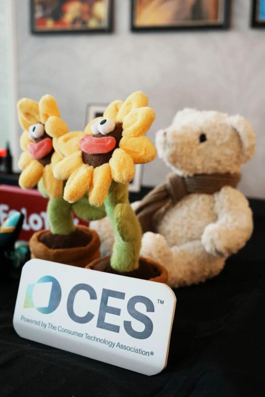 AI Sunflower của FoloToy